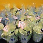 English Today's 20th Birthday Bash! 26 Oct 2013